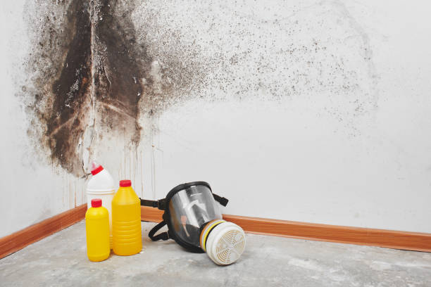 Best Water Damage Restoration  in Jesup, GA