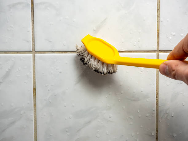 Best Certified Mold Removal  in Jesup, GA