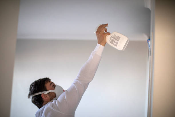 Best Emergency Mold Removal  in Jesup, GA