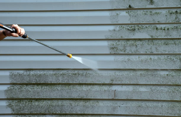 Best Home Mold Removal  in Jesup, GA