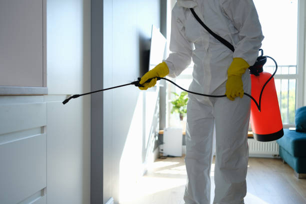 Certified Mold Removal in Jesup, GA