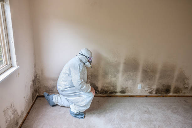 Water Damage Restoration in Jesup, GA